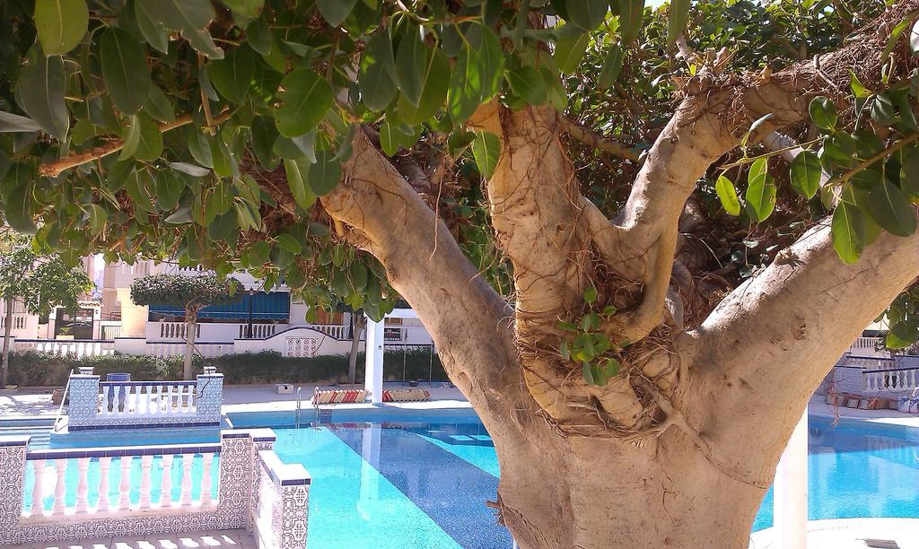 La Mata Vinamar Apartment Luaran gambar